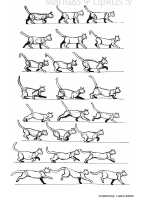 DIBUJANDO ANIMALES.pdf